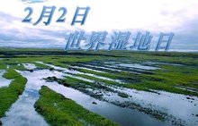 國(guó)際濕地日